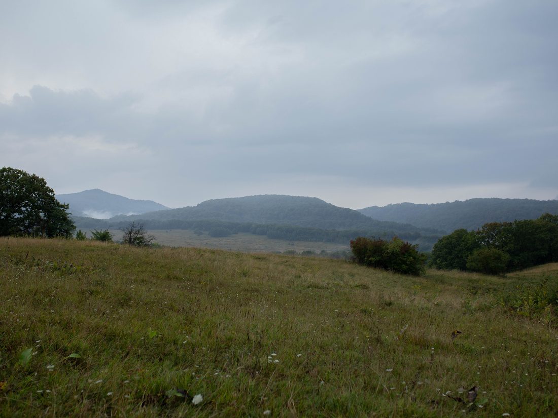Луг у подножия лесистых гор в низких облаках